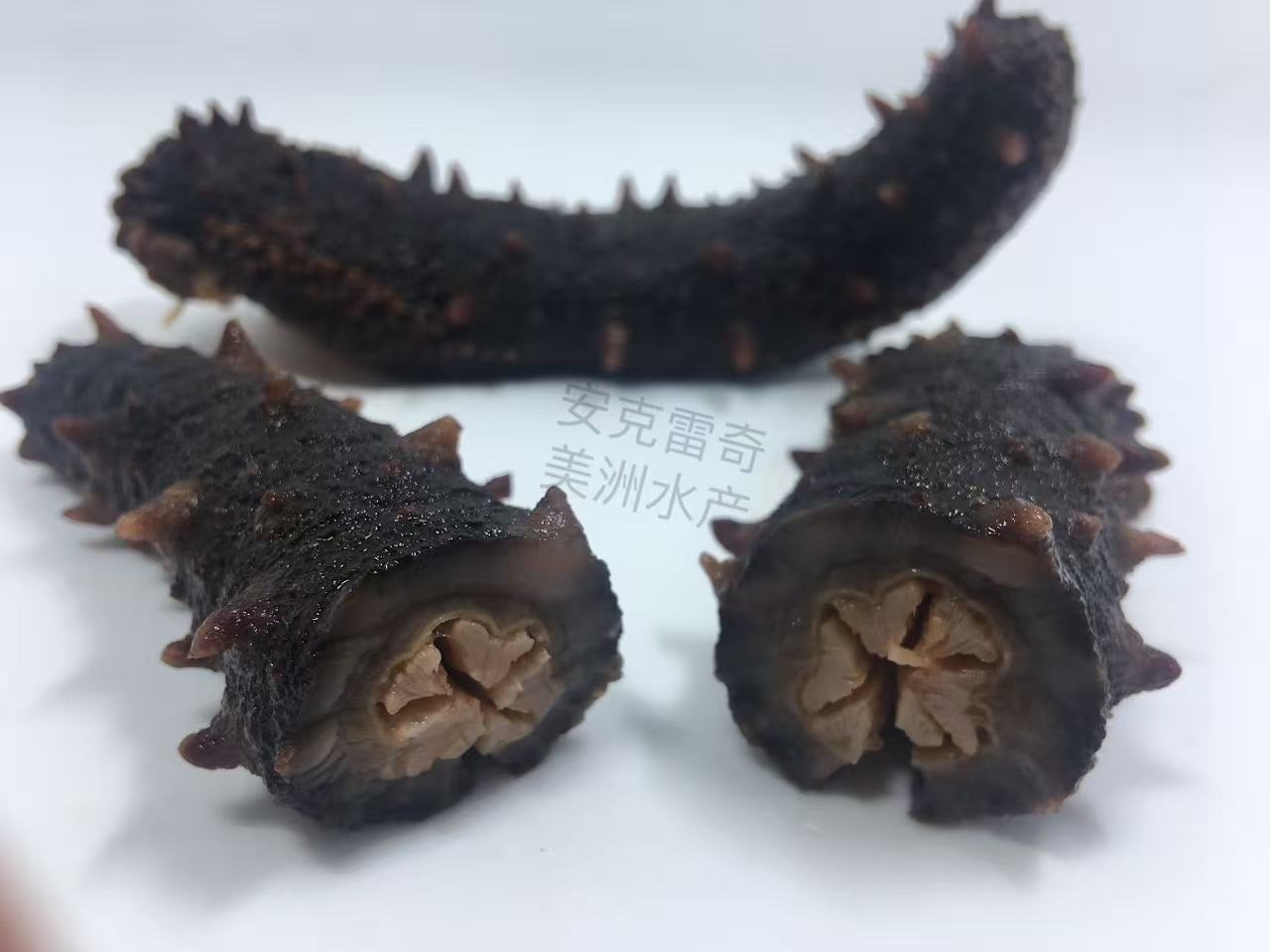半干鲜煮红刺参