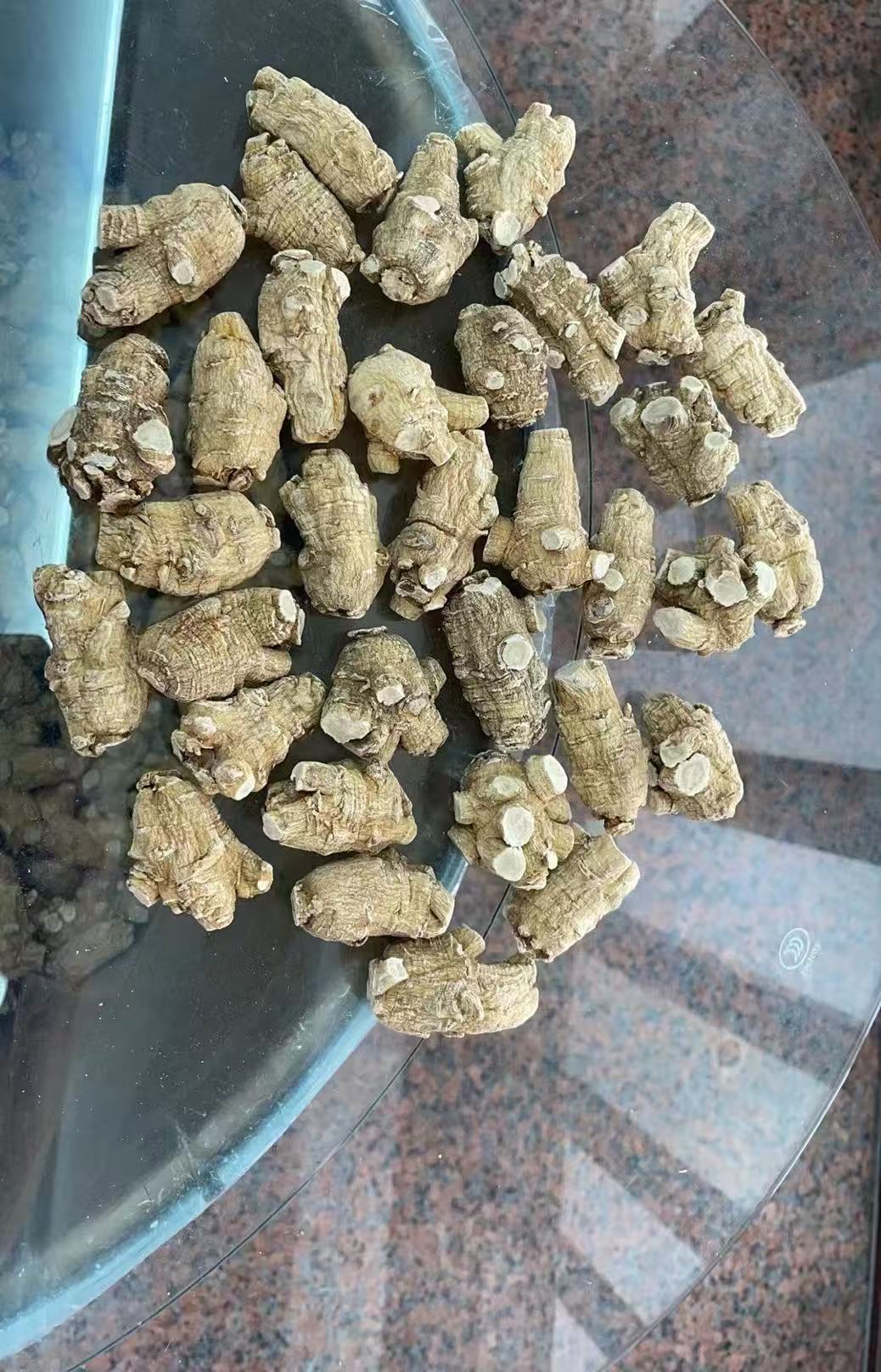 花旗参短泡